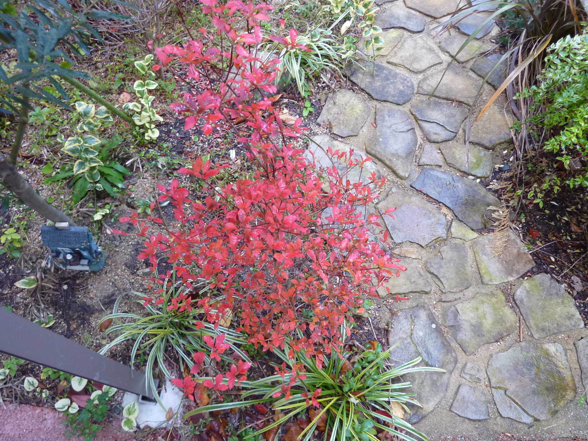 P1080748.JPG