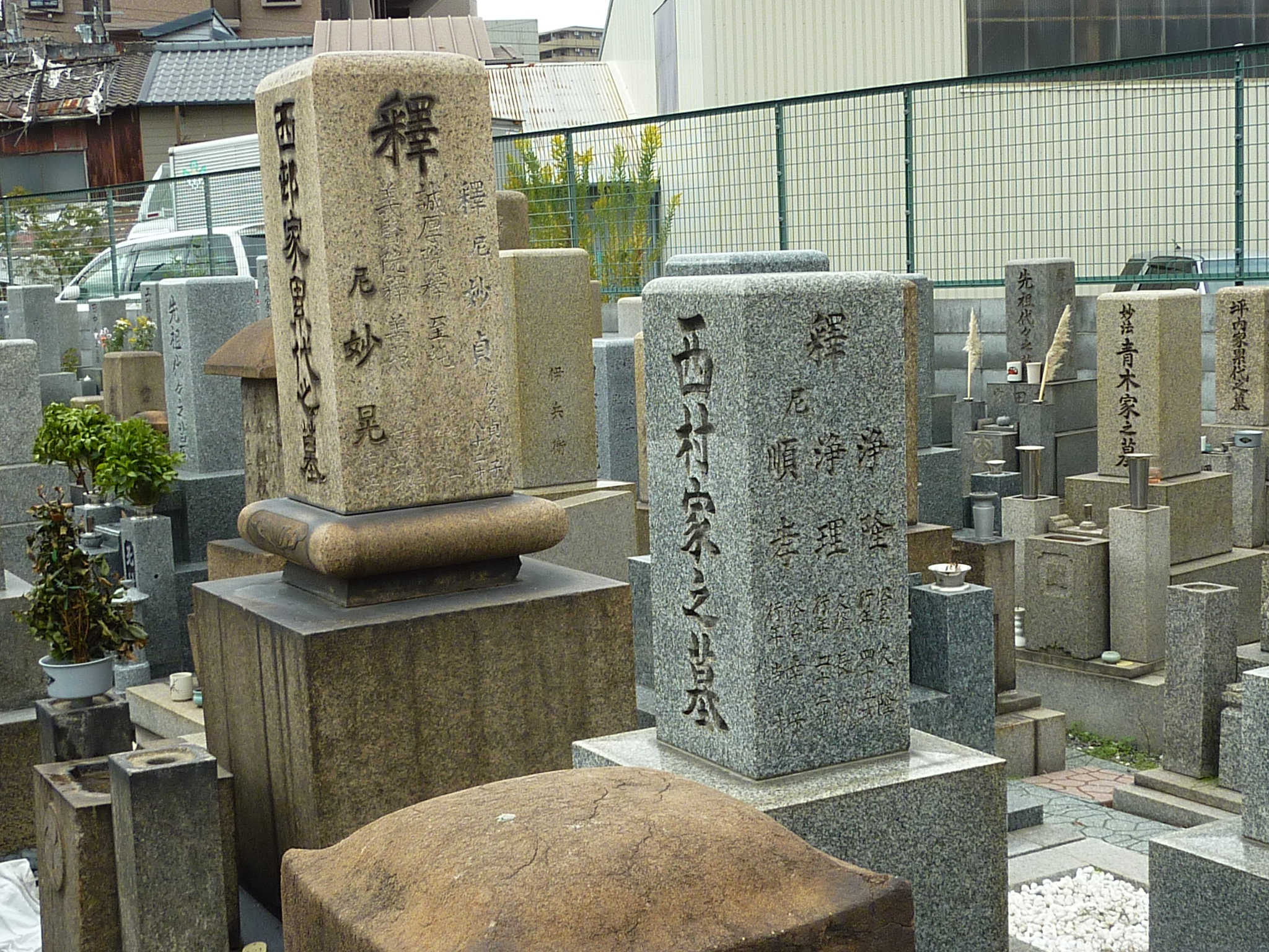 P1080753.JPG