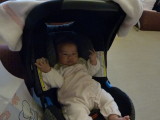 img0007.jpg