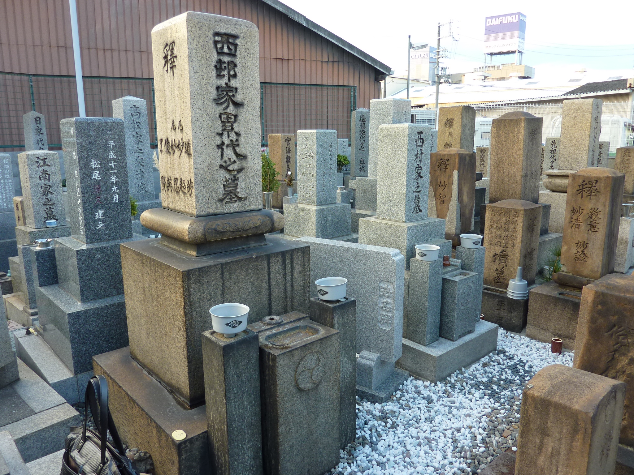 P1080783.JPG