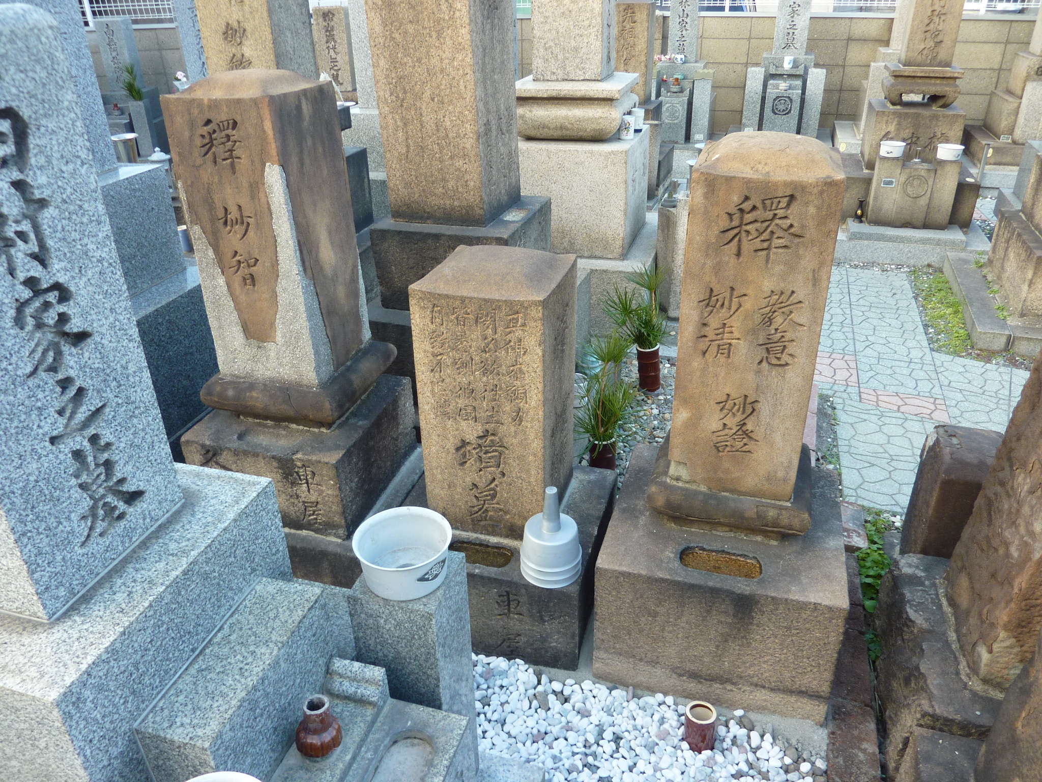 P1080785.JPG