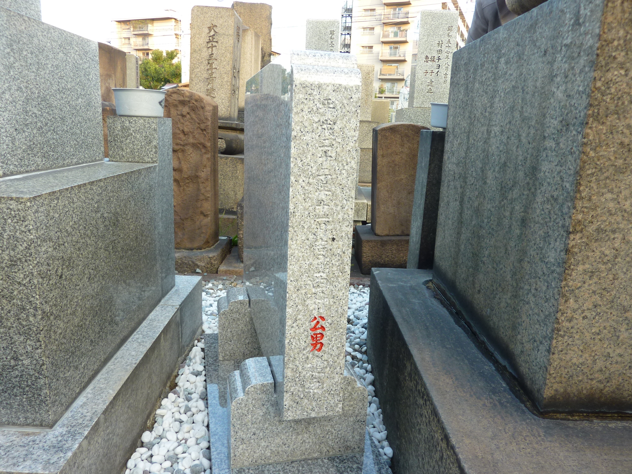 P1080787.JPG