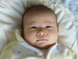 img0003.jpg