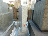img0009.jpg