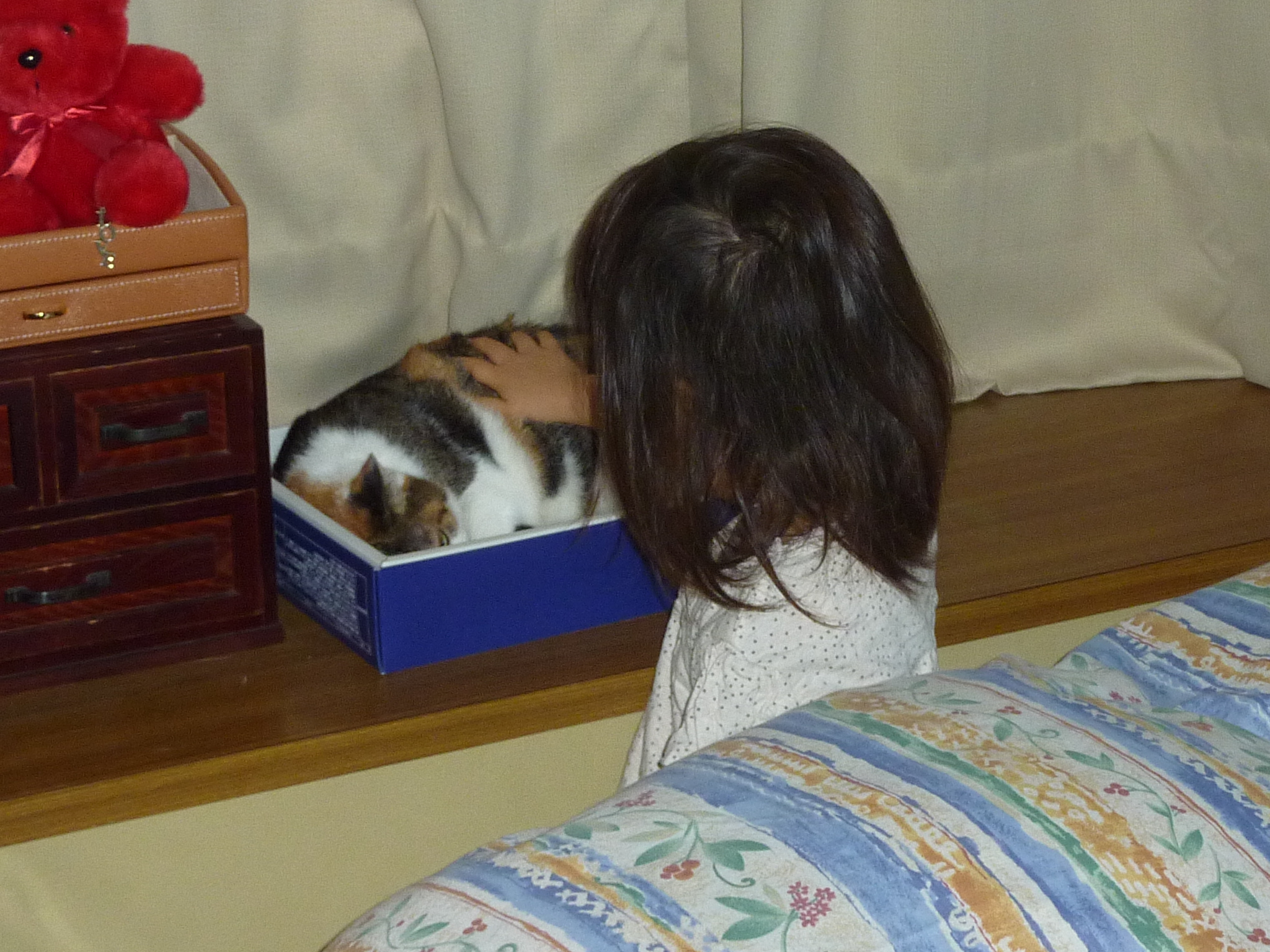 P1080884.JPG