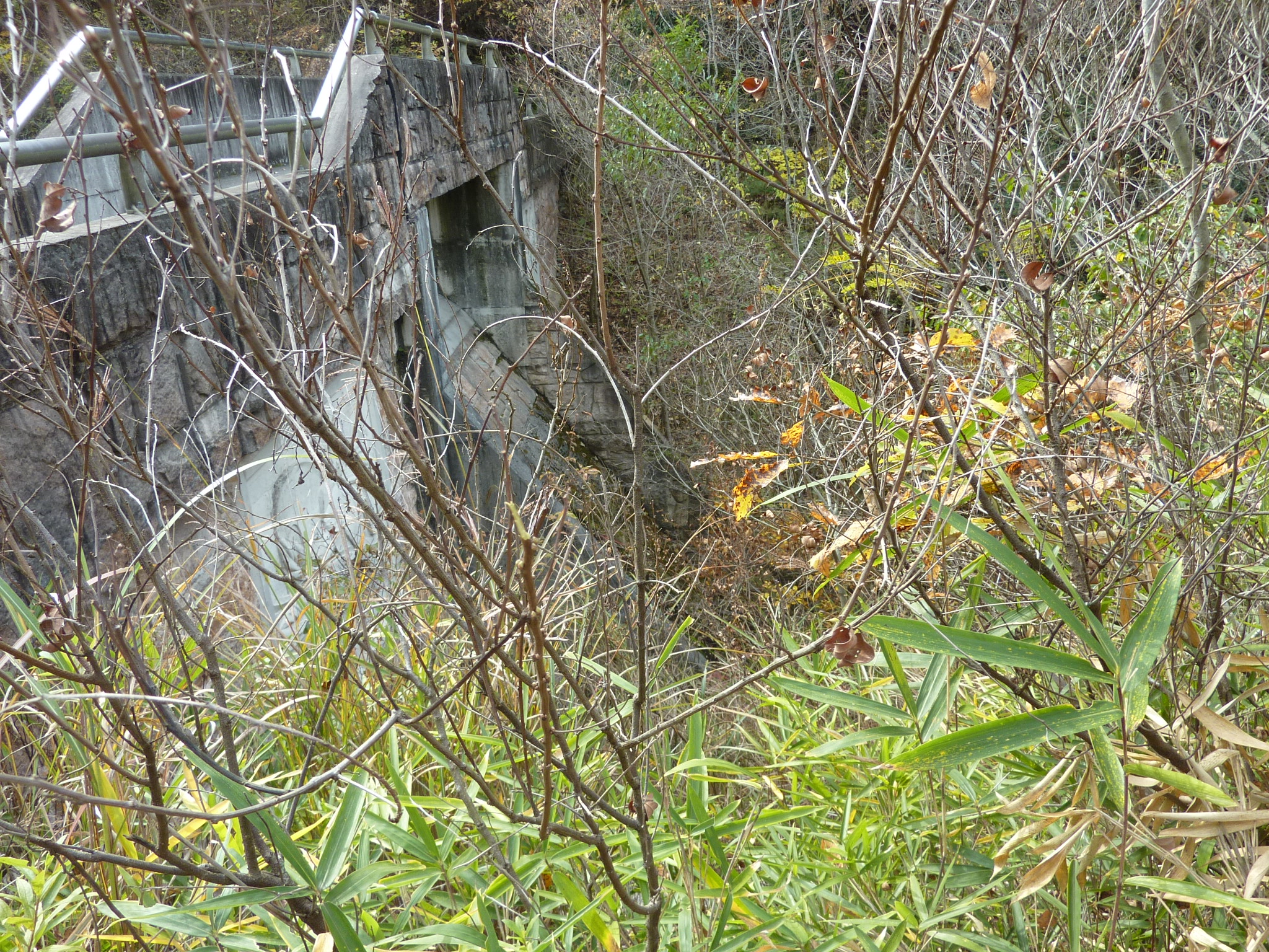 P1080894.JPG