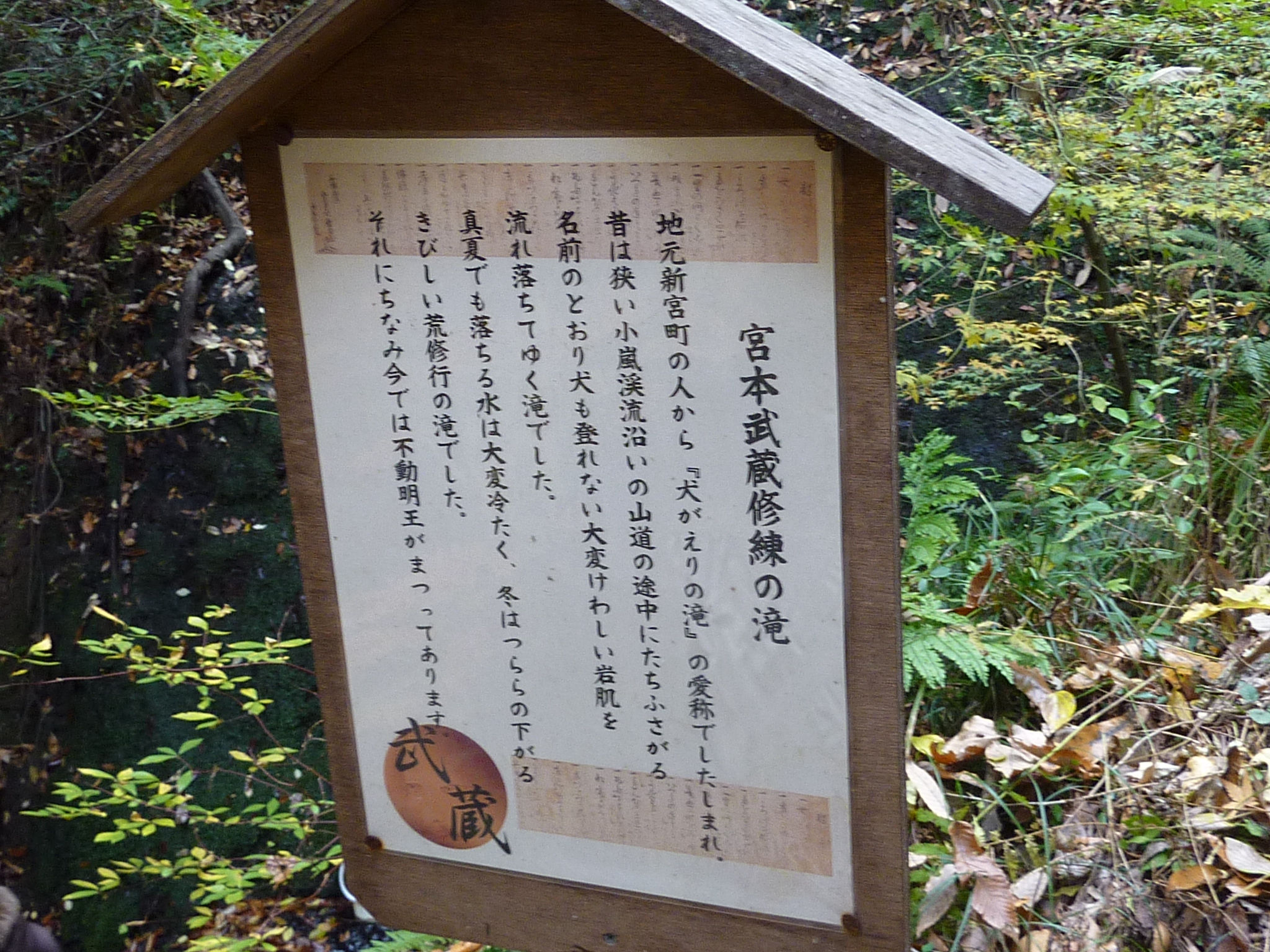 P1080898.JPG