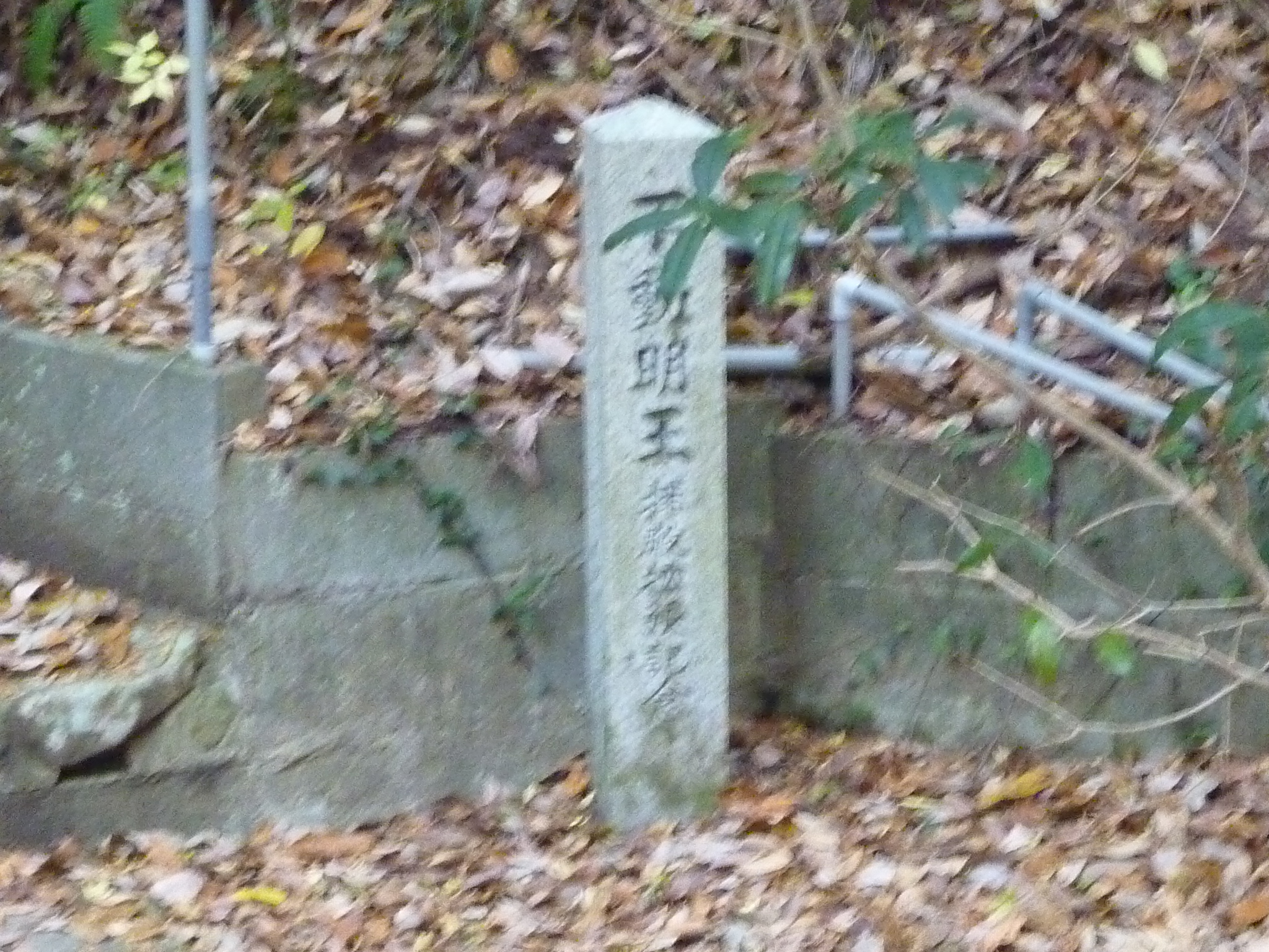 P1080899.JPG