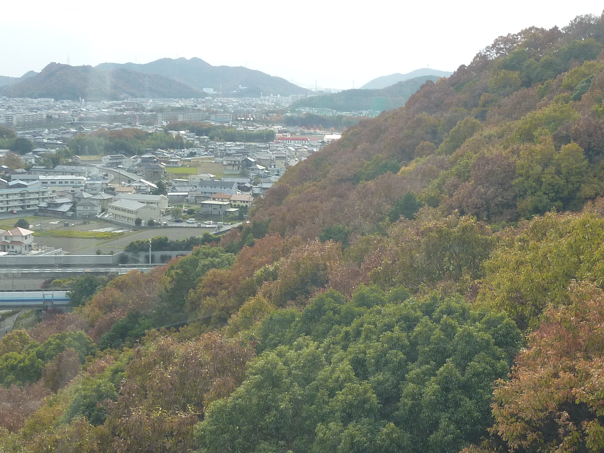 P1080923.JPG