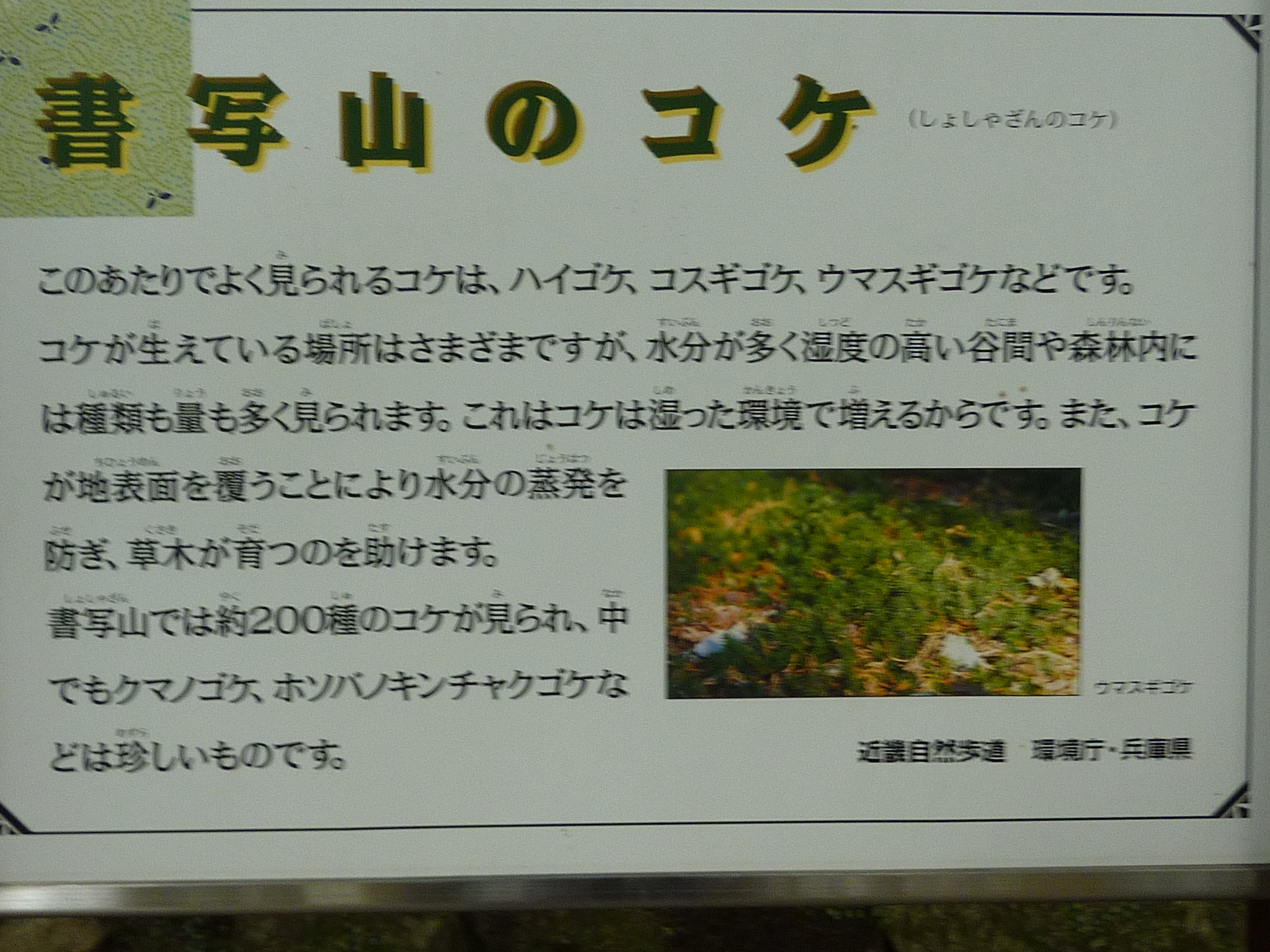 P1080935.JPG