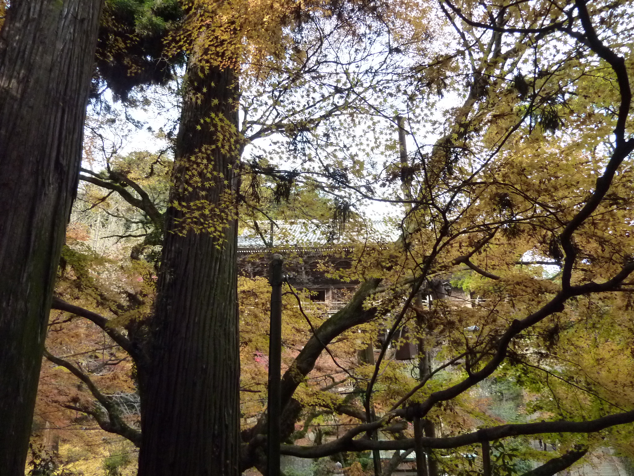 P1080937.JPG