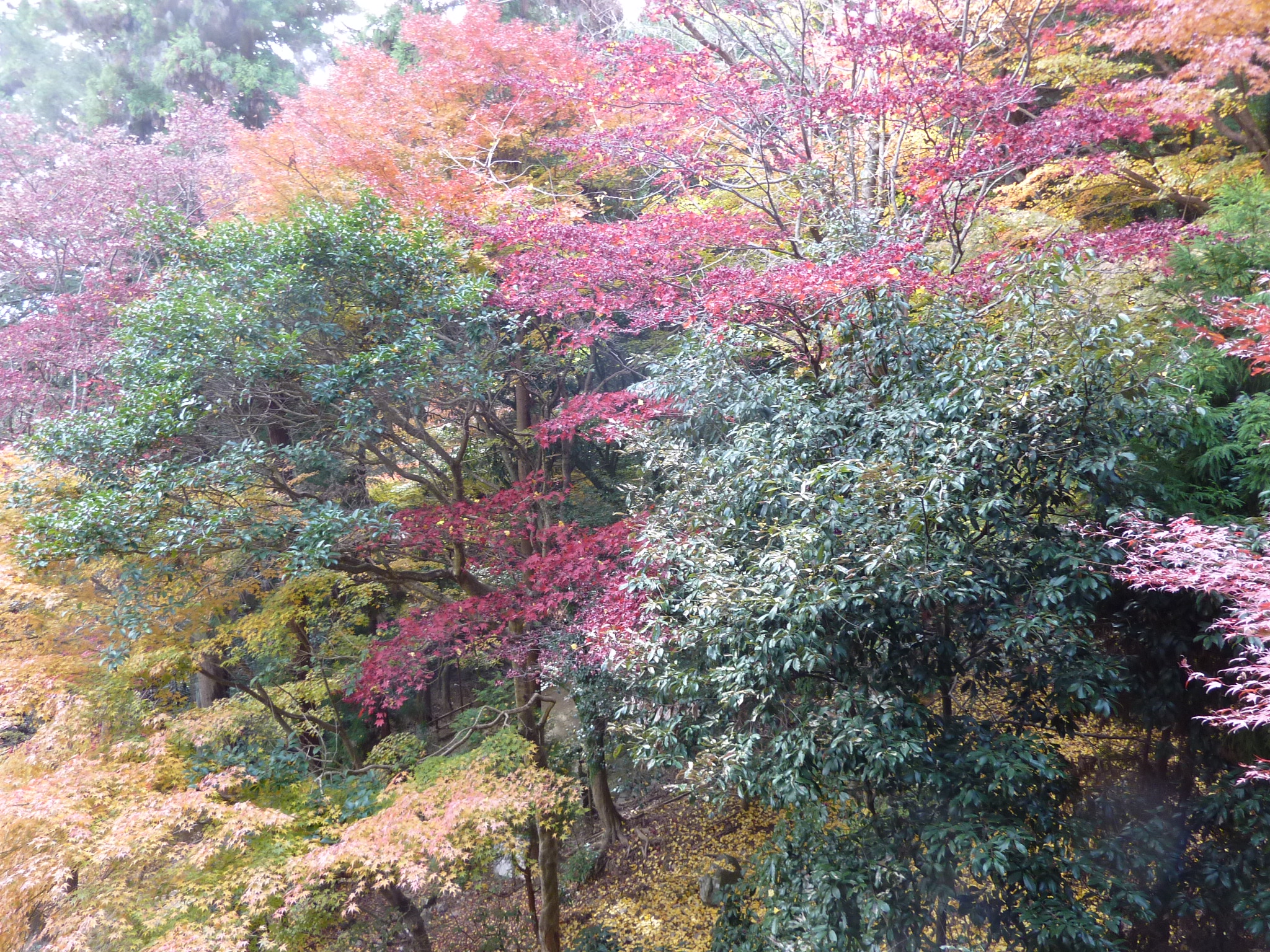 P1080944.JPG