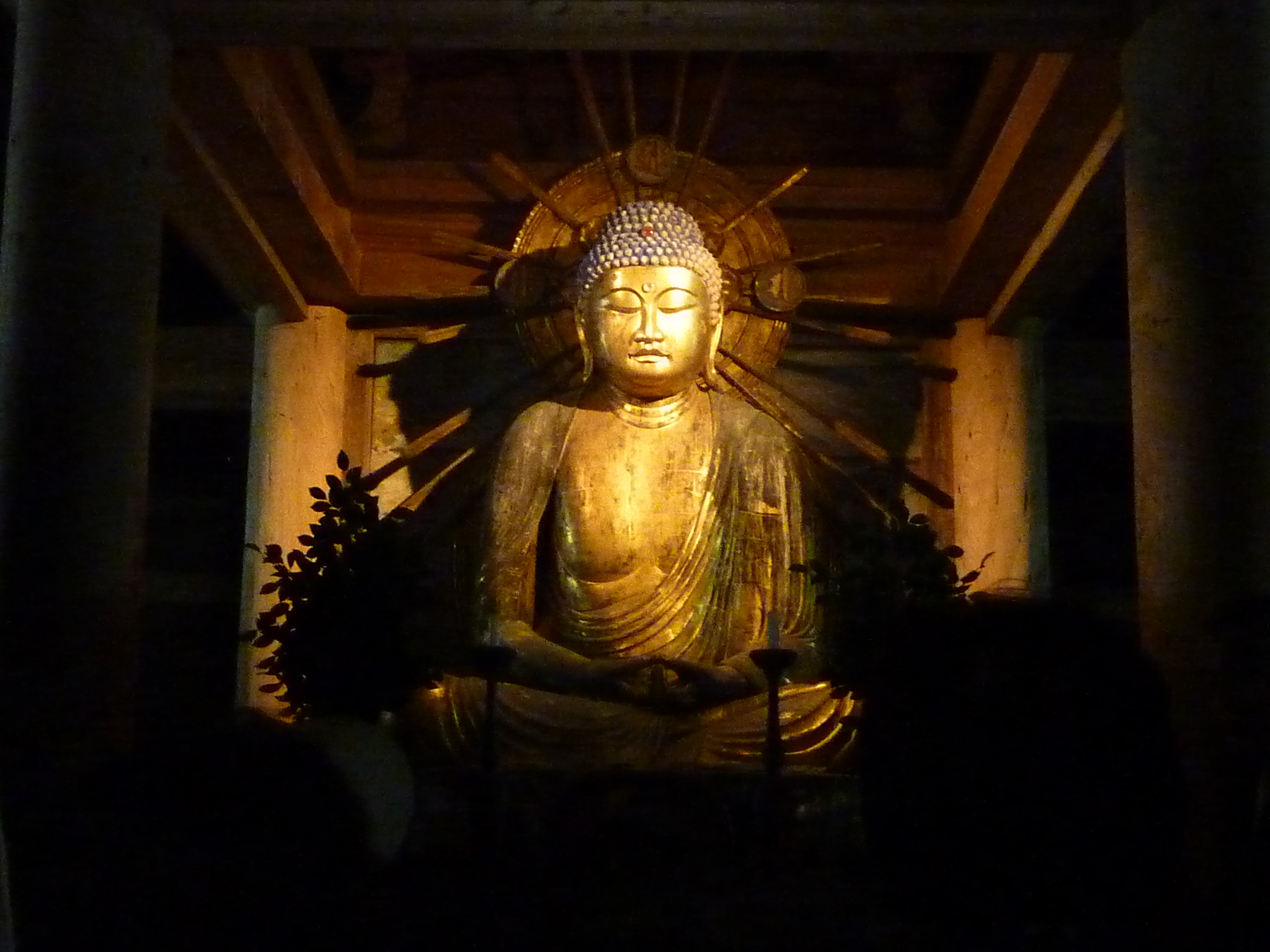 P1080961.JPG