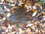 img0014.jpg
