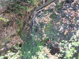 img0015.jpg