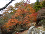 img0021.jpg