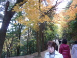 img0046.jpg