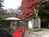 img0053.jpg