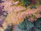 img0058.jpg