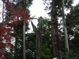 img0067.jpg