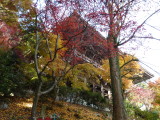 img0087.jpg