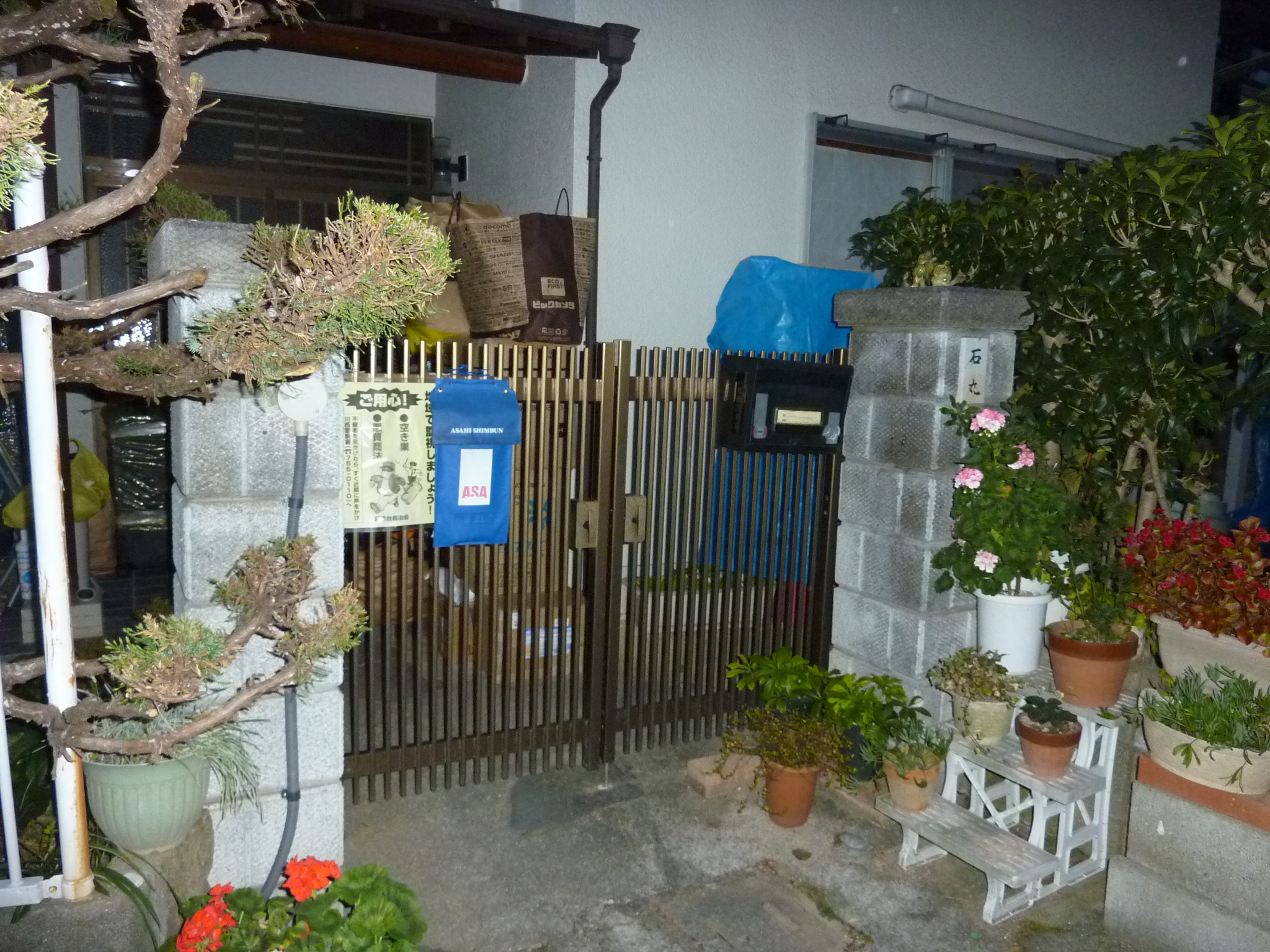 P1090103.JPG