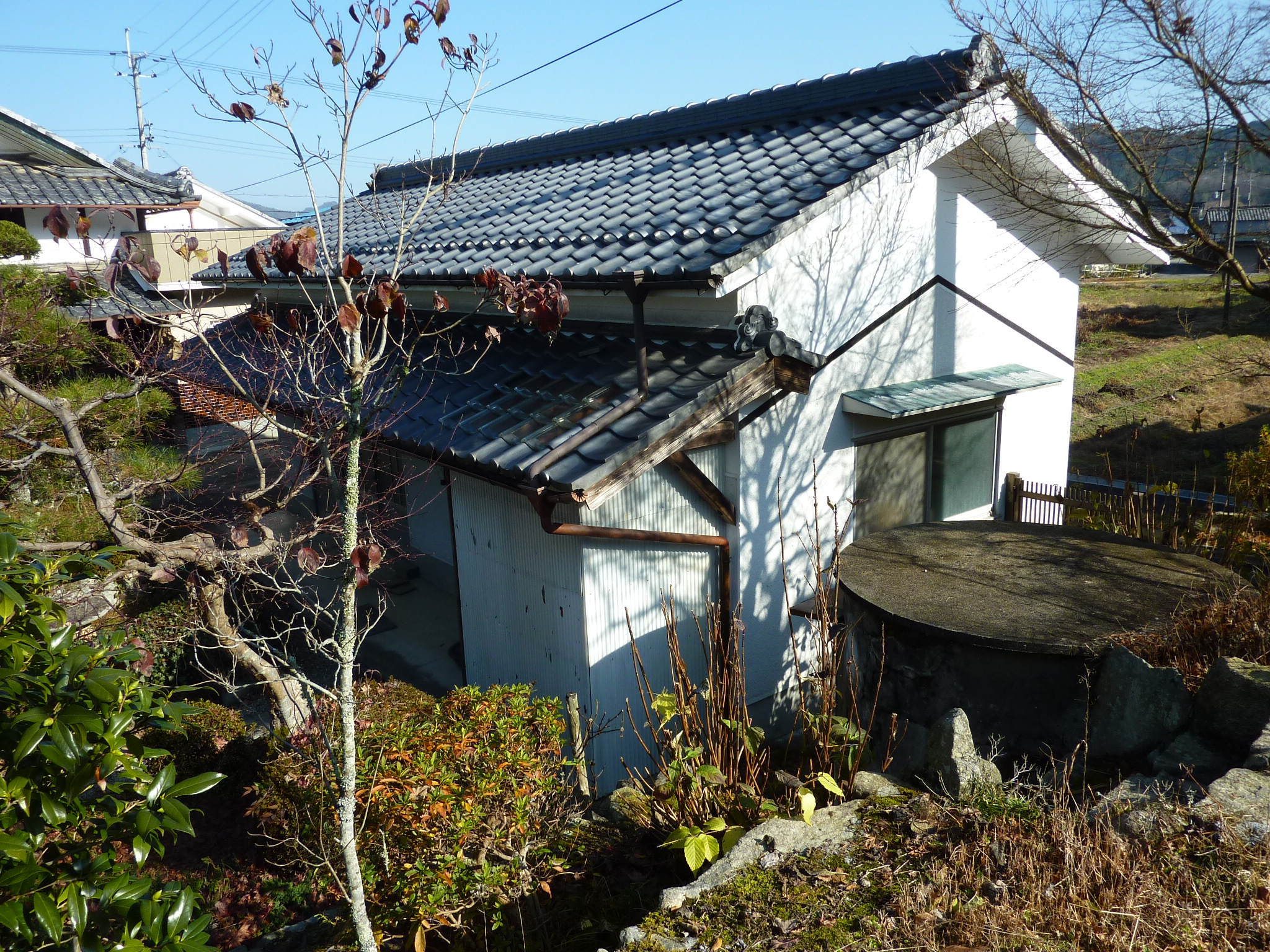 P1090164.JPG