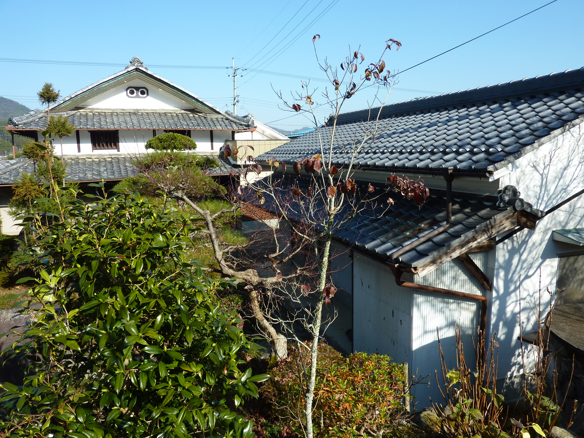P1090165.JPG