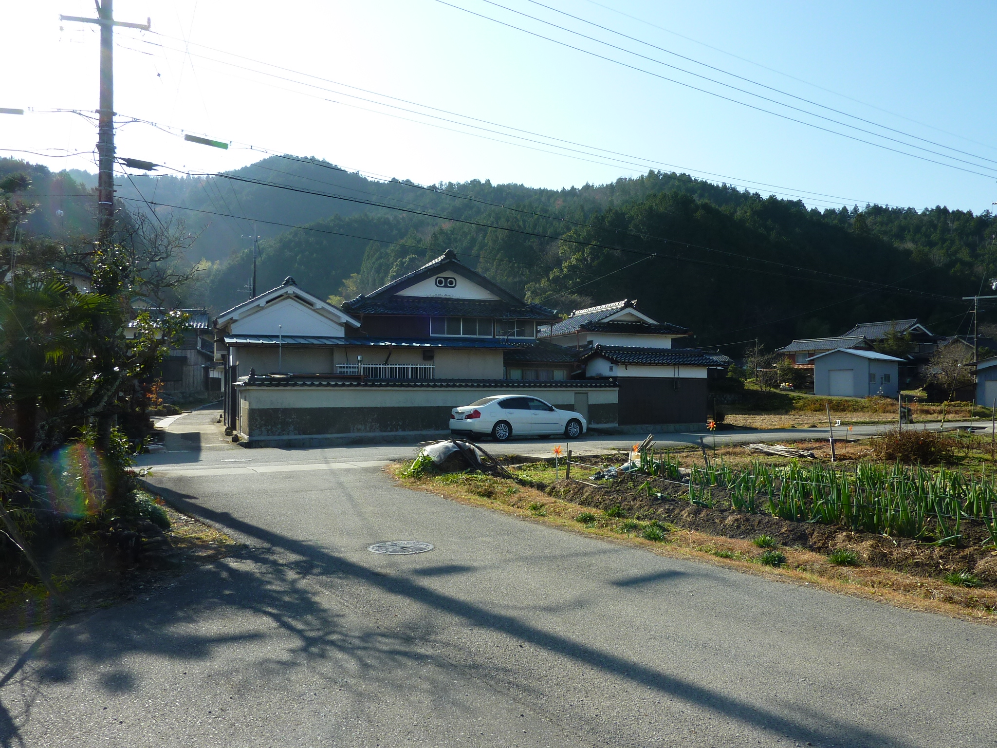 P1090172.JPG