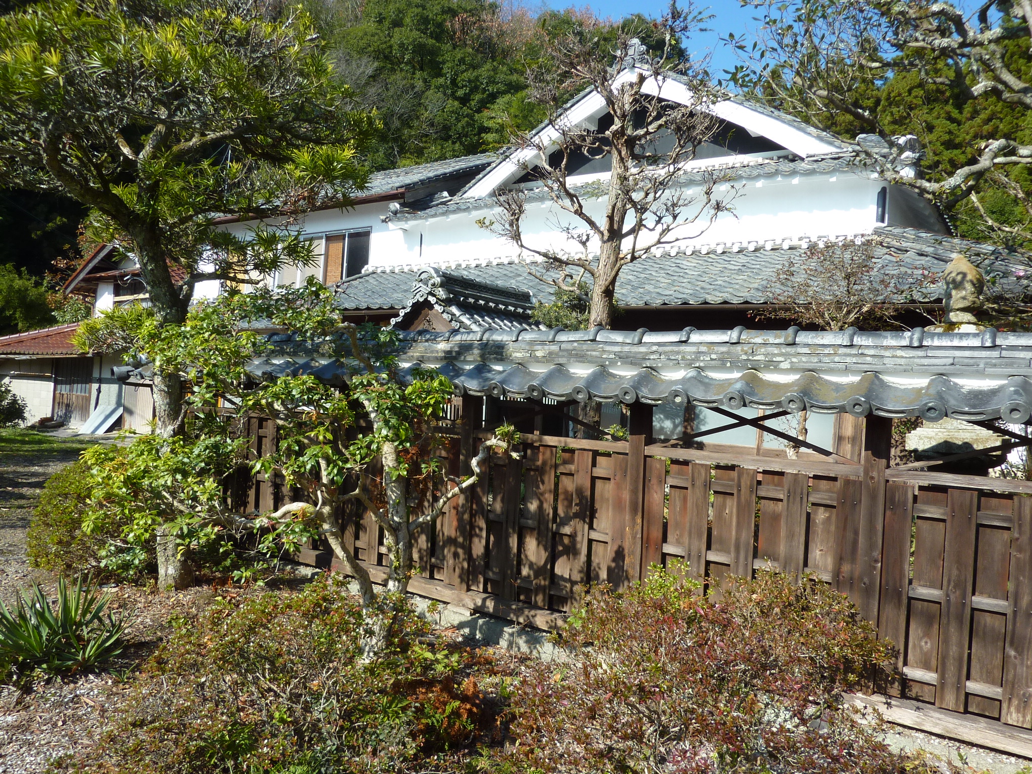 P1090176.JPG