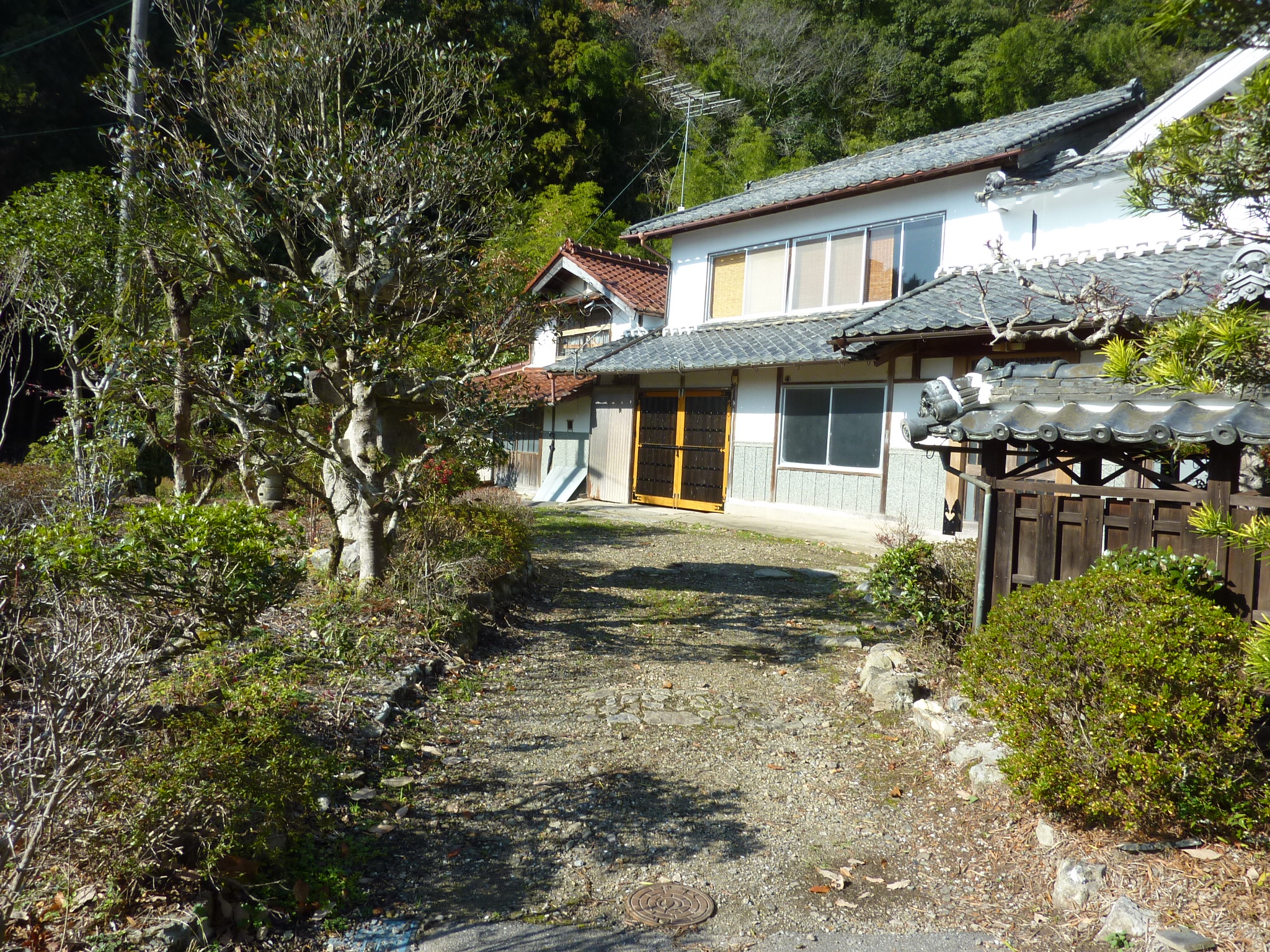 P1090177.JPG