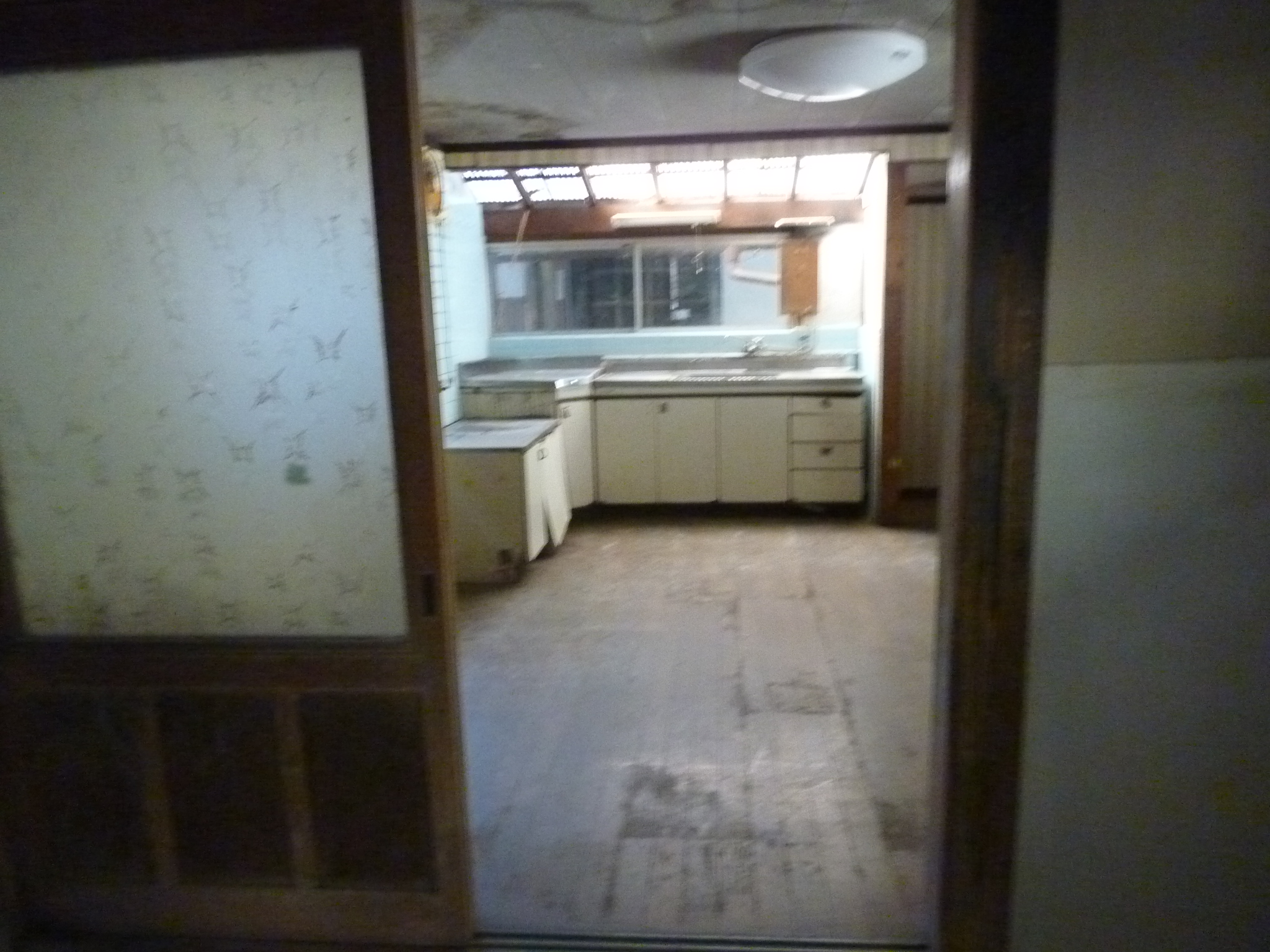 P1090181.JPG