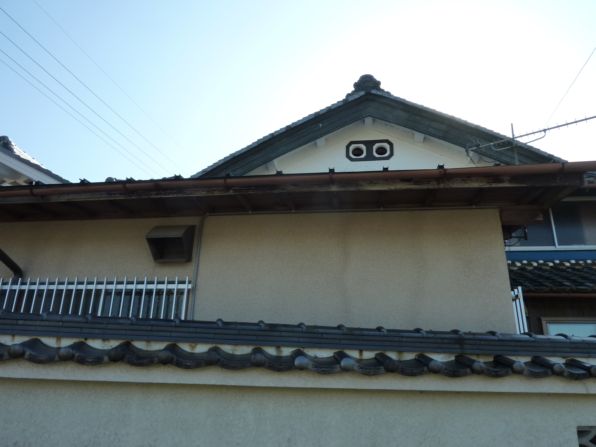 P1090204.JPG