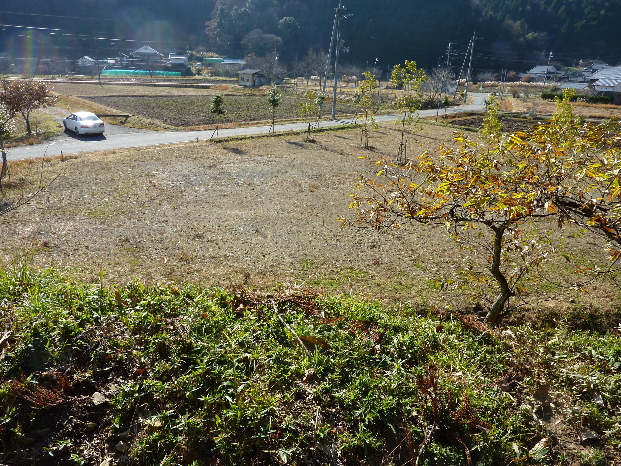 P1090210.JPG