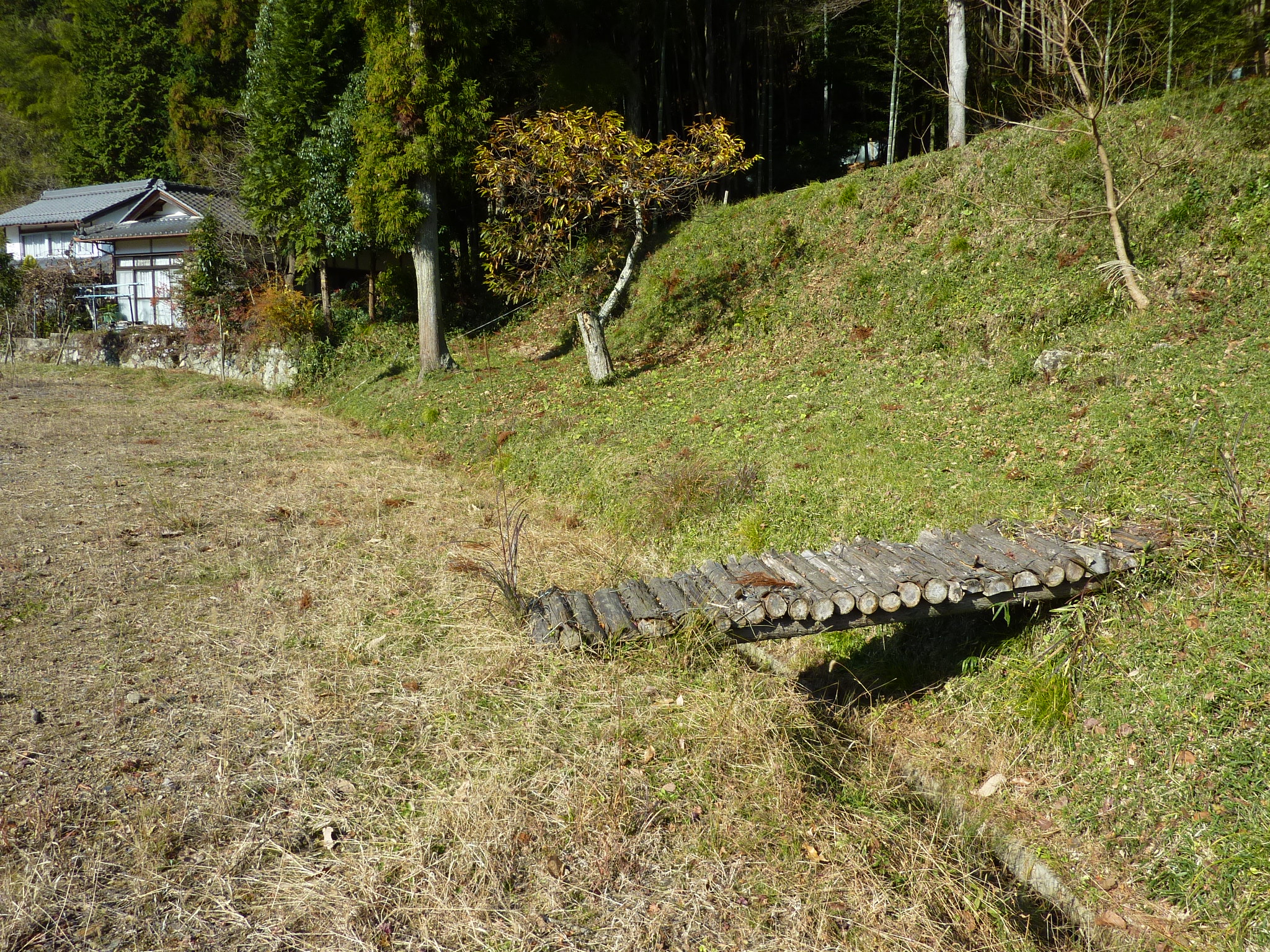 P1090212.JPG
