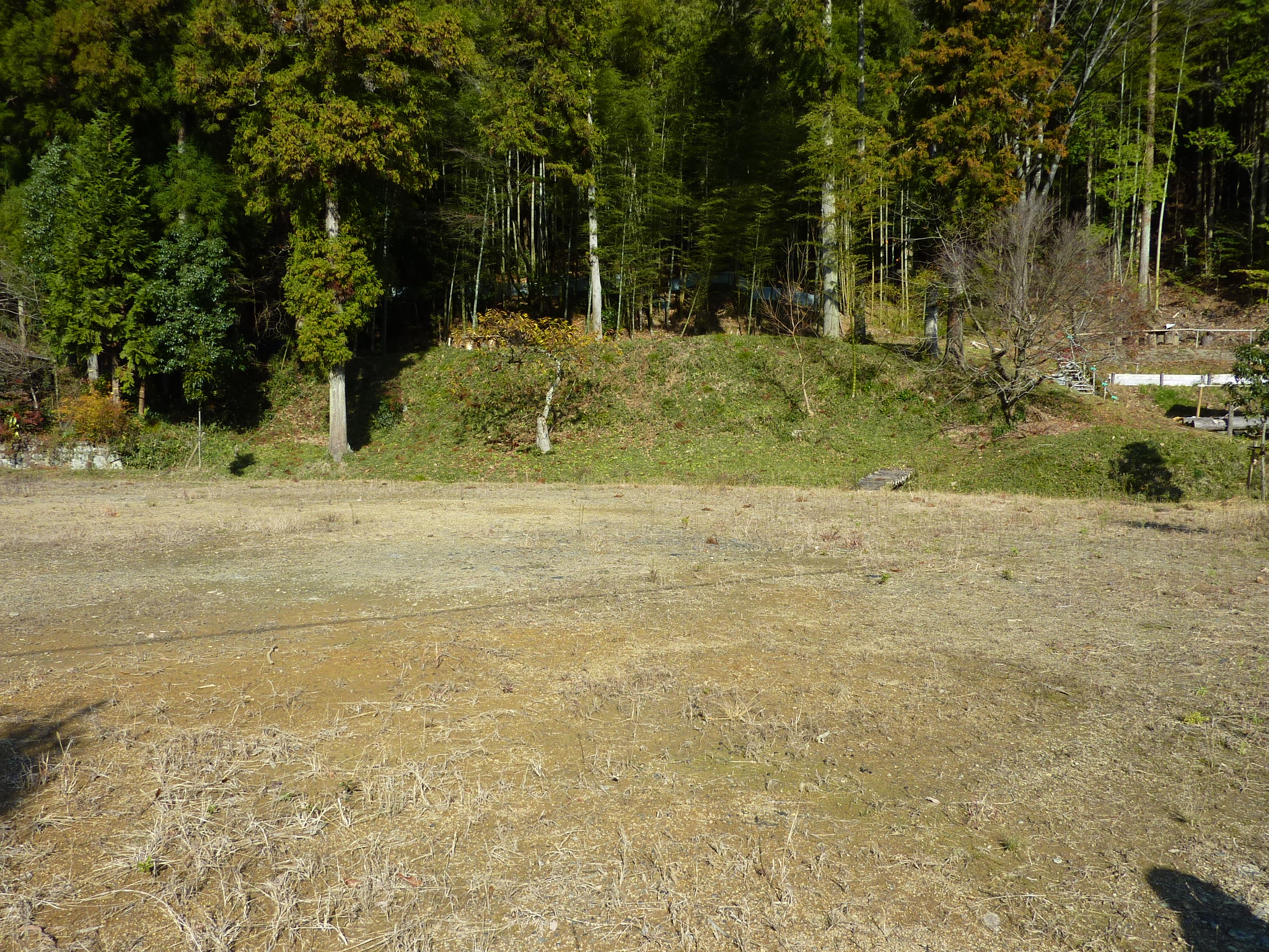 P1090213.JPG