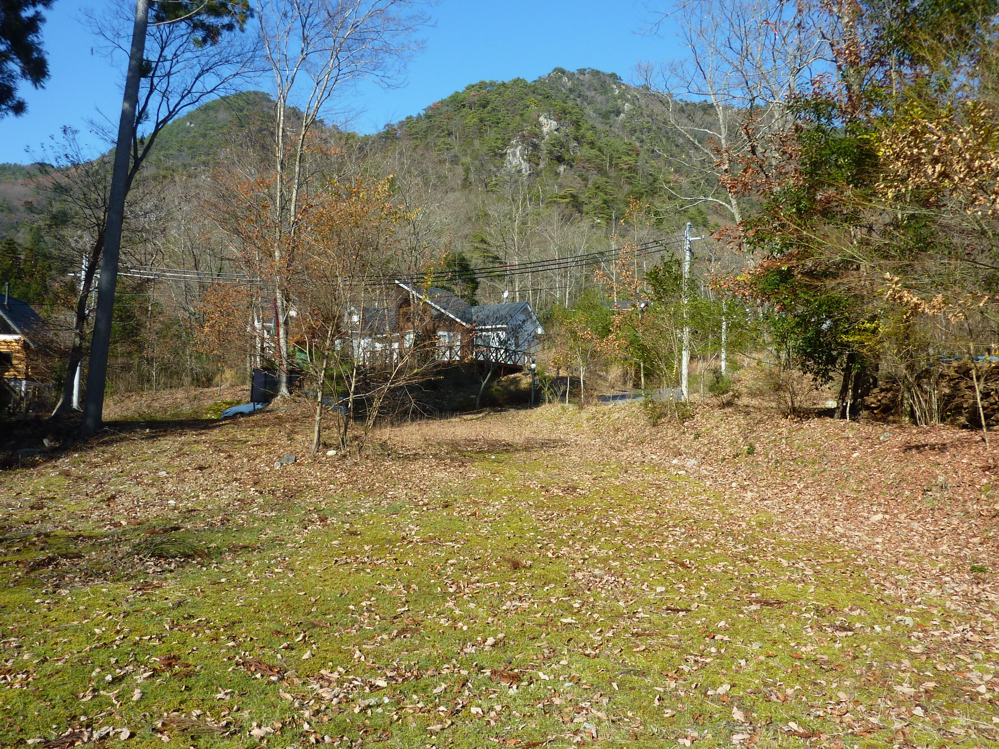 P1090215.JPG