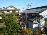 img0004.jpg
