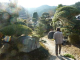 img0006.jpg