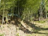 img0048.jpg