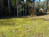 img0059.jpg