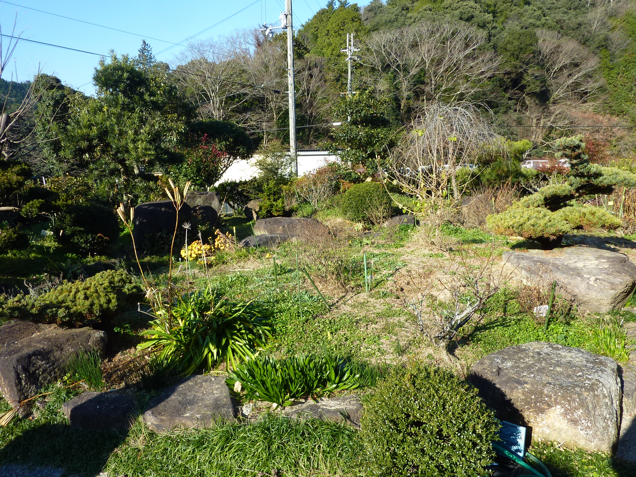 P1090266.JPG