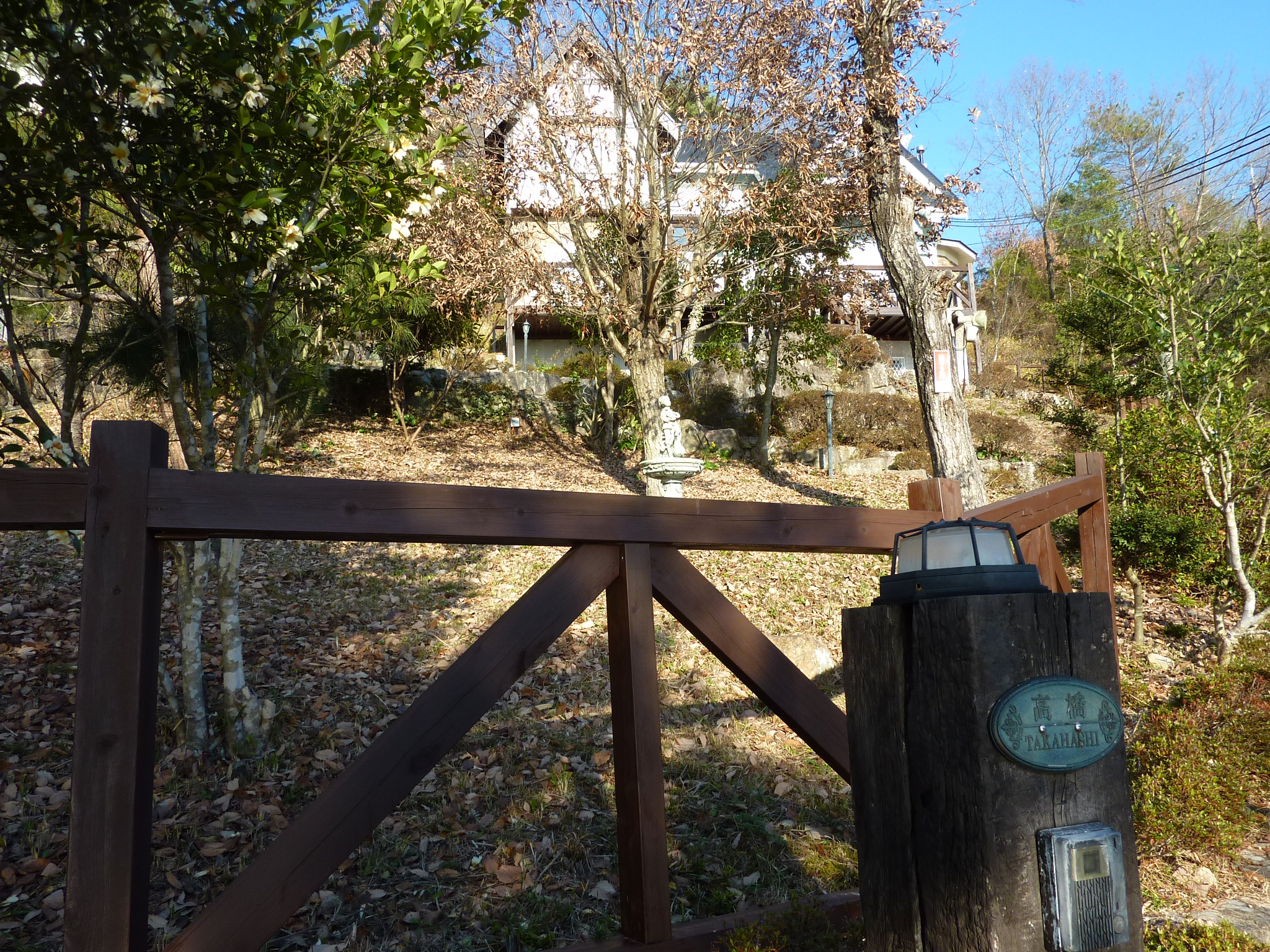 P1090297.JPG