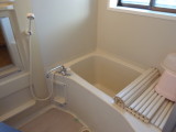 img0010.jpg