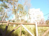 img0023.jpg
