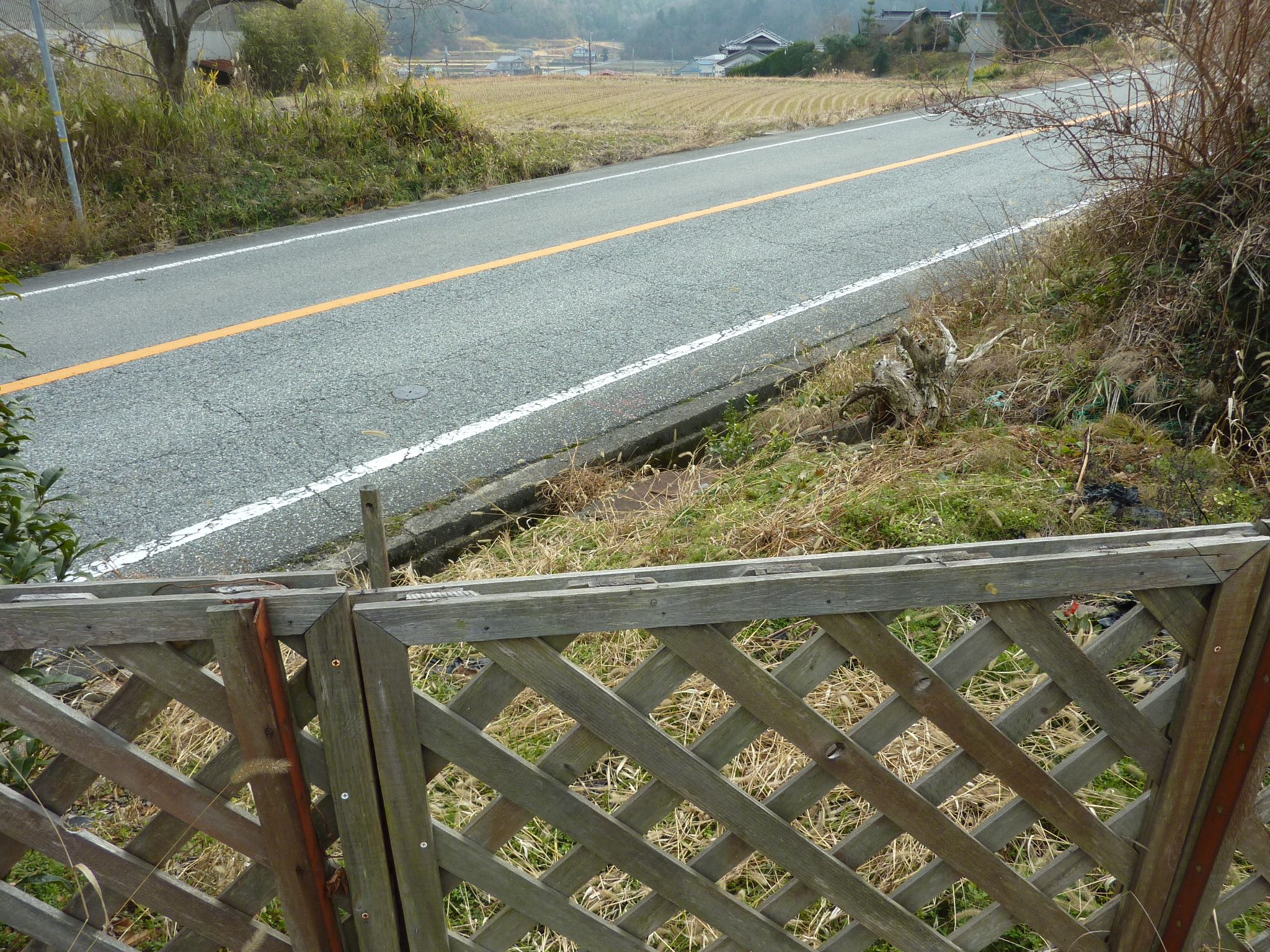 P1090314.JPG