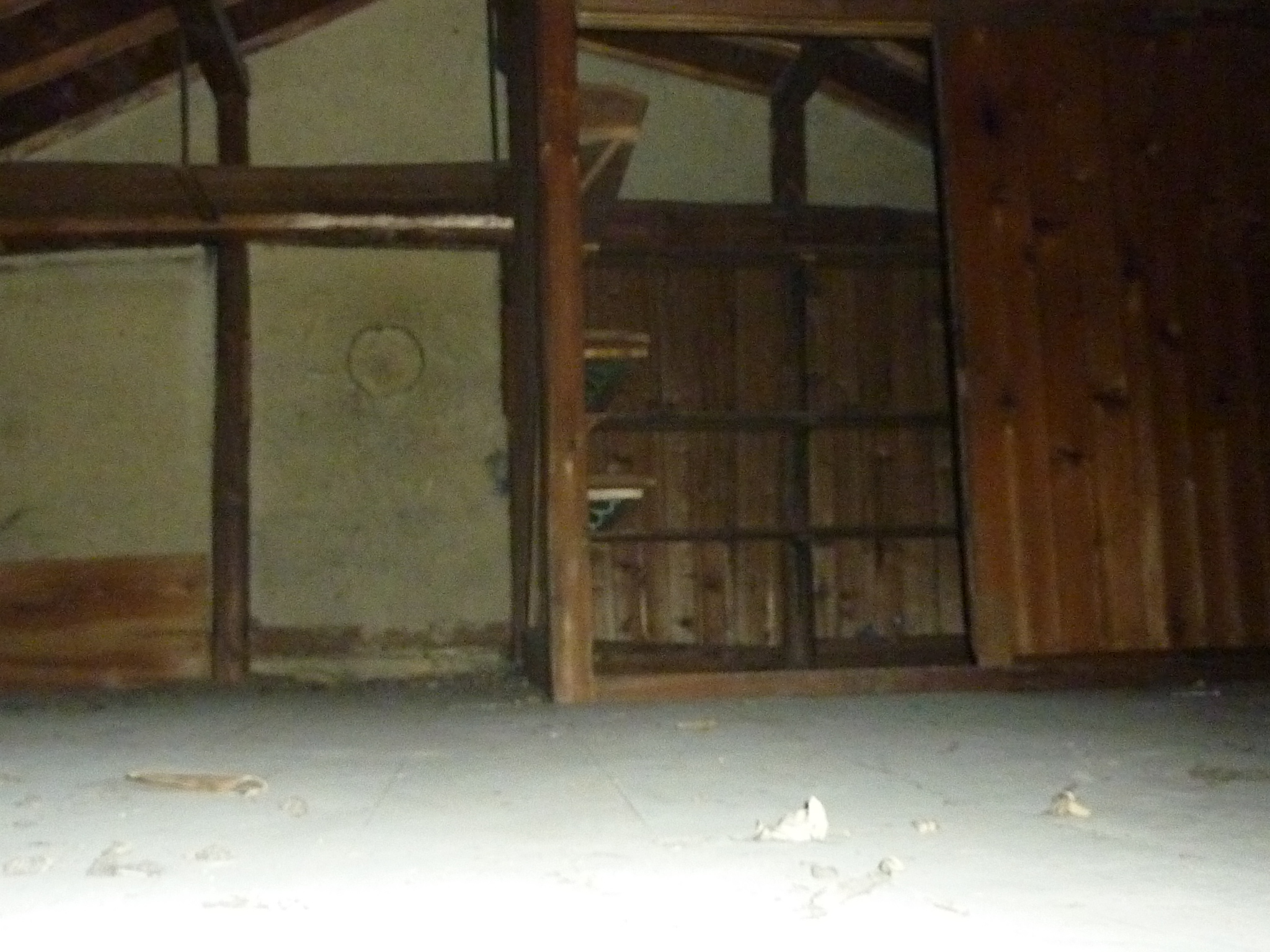 P1090317.JPG