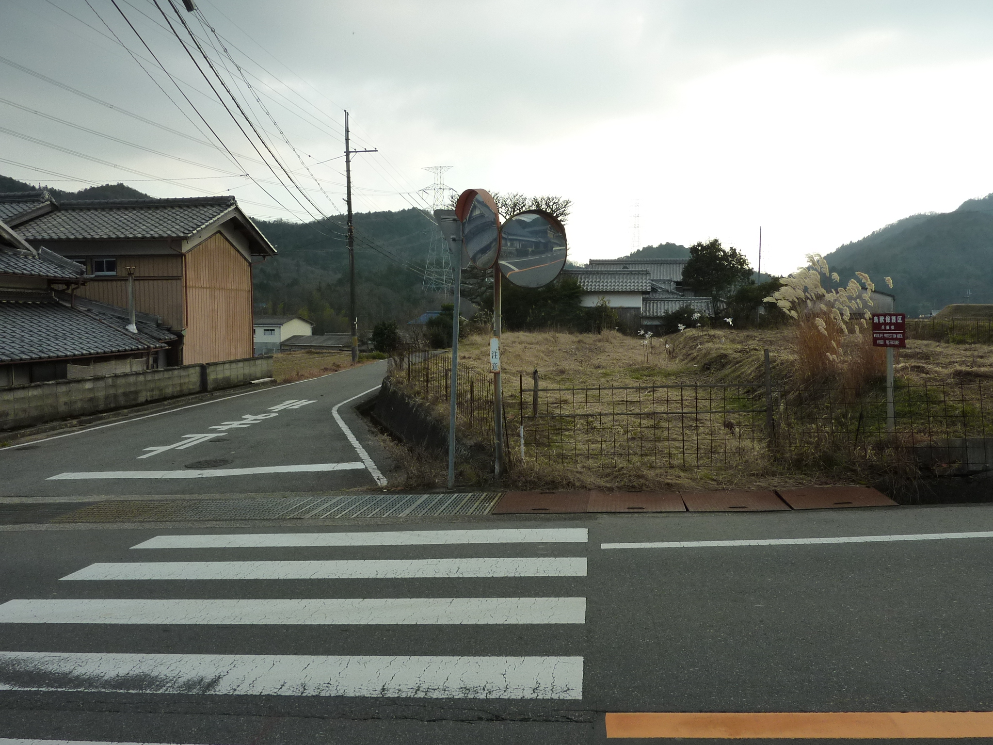 P1090325.JPG