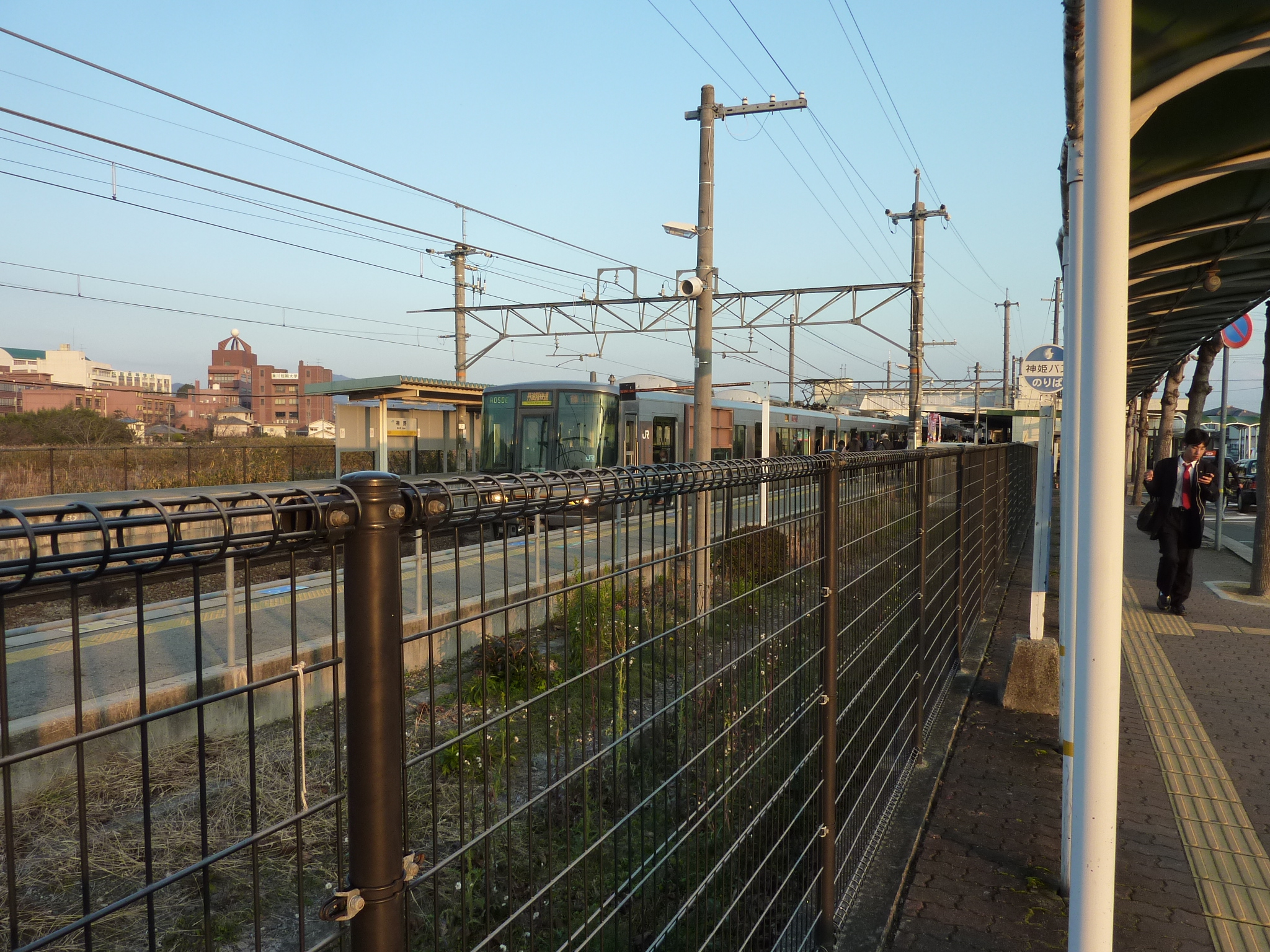 P1090334.JPG