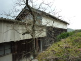img0015.jpg